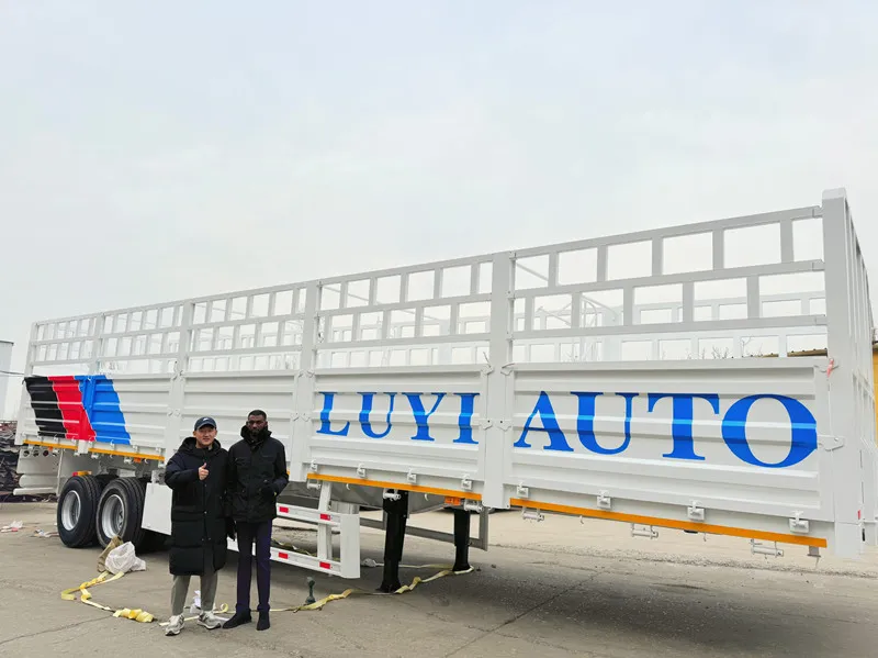 Luyi Flachbett-Semi-Trailer befähigen die Ambitionen der Infrastruktur von Tansania